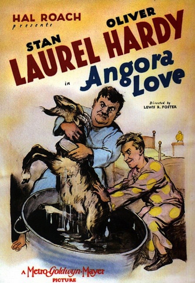 Poster for the movie "Angora Love"